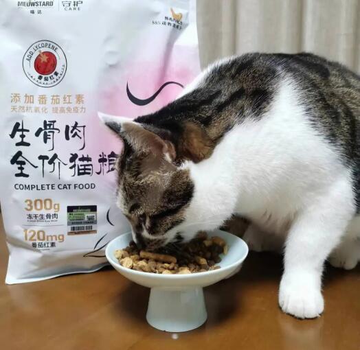 猫粮：猫咪吃的食物的总称